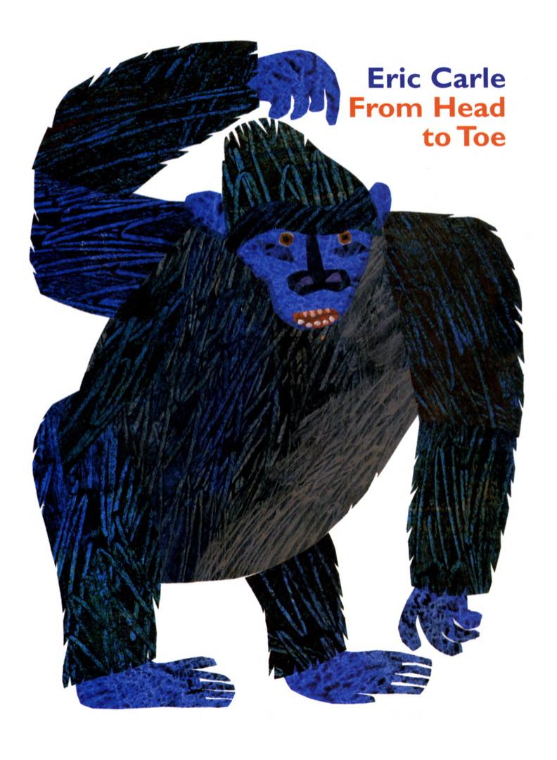 From Head to Toe Board Book